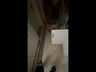 出租屋操好身材年轻少妇，又圆又翘的屁股