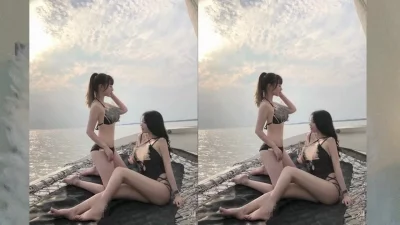 老粉丝记得关注