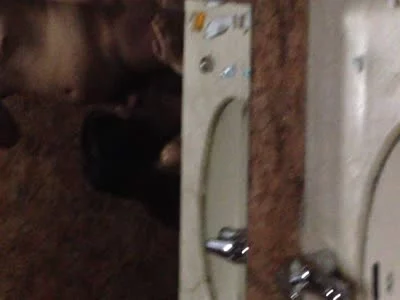 鞍山女神口活后入